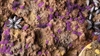 Gamers Grass - Tiny Tufts Alien Purple (2mm)