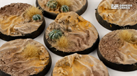 Gamers Grass - Deserts of Maahl Bases 8Stk.