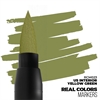 AK Real Colors - RC Marker, Interior Yellow Green