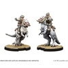 Star Wars: Legion - Tauntaun Riders