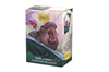 Dragon Shield - Standard Duell Matte Art Sleeves