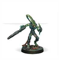 Infinity - Combined Army