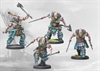 Conquest - Nords