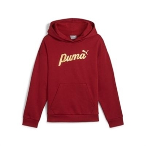 Puma - ESS+ SCRIPT Metallic Hoodie FL G, Hoodie