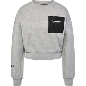 Hummel - hmlLGC DACIA Sweatshirt, Pullover