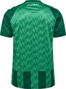 Hummel - Werder Bremen 24/25 Home Jersey, Trikot