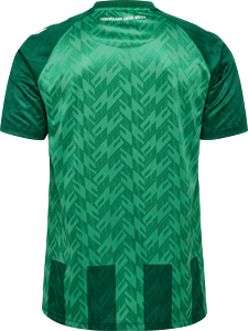 Hummel - WER 24/25 Home Jersey S/S Wom Fan, Trikot