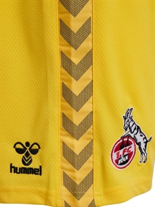 HUMMEL - 1FCK 23/24 GK SHORTS, Hose