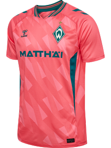 HUMMEL - WER 26/27 3RD JERSEY S/S KIDS, Trikot
