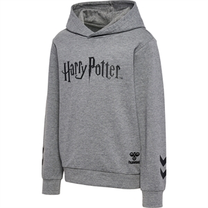 Hummel - hmlHARRY Potter Kids Hoodie, Kapuzenpulli