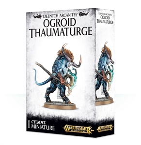 Warhammer Age of Sigmar - Tzeentch Arcanites