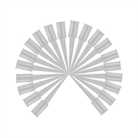 Green Stuff World - CA- Pr�zesionsspitzen