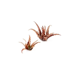 Gamers Grass - Papierpflanzen (Pre Painted)