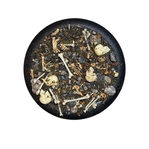 Krautcover - Basecover