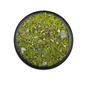 Krautcover - Basecover