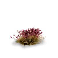 Gamers Grass - Heather Flowers (6mm)