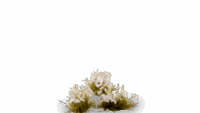 Gamers Grass - White Lily Tiny Flowers (4mm)
