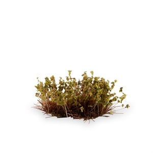 Gamers Grass - Shrubs Dry Green (6mm)