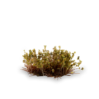 Gamers Grass - Shrubs Dry Green (6mm)
