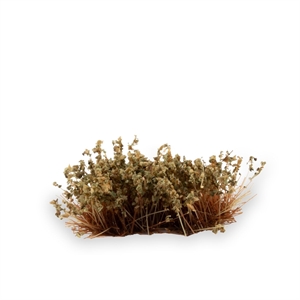 Gamers Grass - Shrubs Swamp (6mm)