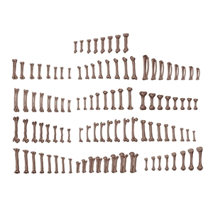 AK Interactive - Basing Bits