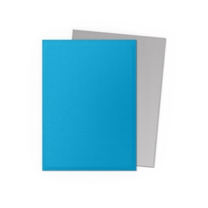 Dragon Shield - Standard Sleeves