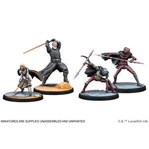 Star Wars: Shatterpoint - Secure the Future